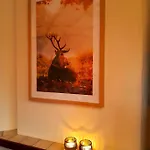 Chalet Beukenboom 1 Genieten Op De Veluwe Rust En