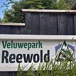 Beukenboom 1 Genieten Op De Veluwe Rust En 木屋 皮滕
