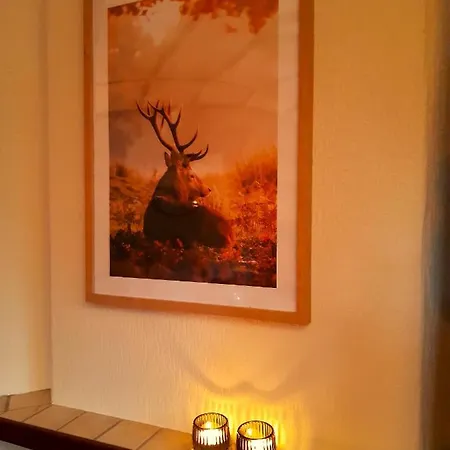 Chalet Genieten Op De Veluwe Rust En