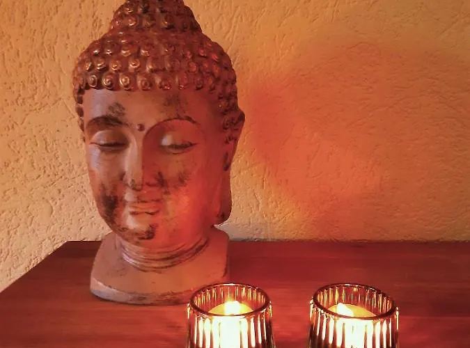 Genieten Op De Veluwe Rust En Putten