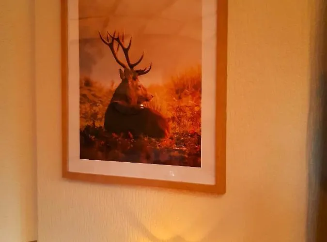 Chalet Genieten Op De Veluwe Rust En