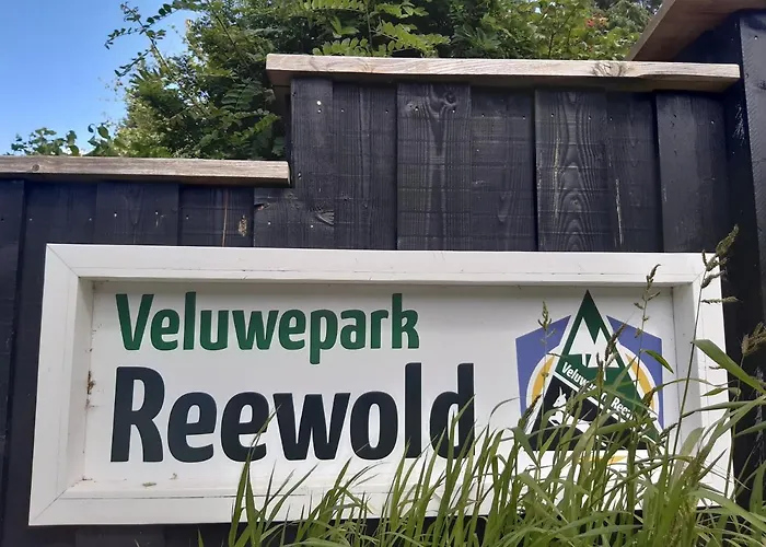 Genieten Op De Veluwe Rust En Chalet Putten