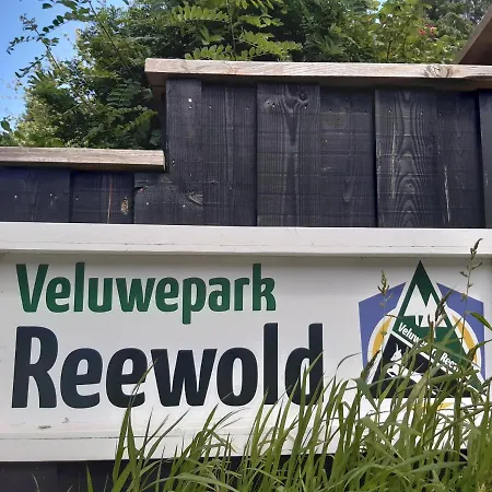 Genieten Op De Veluwe Rust En Chalet Putten